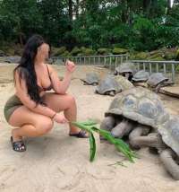 İsrarlı olmayan sınırsız Açelya